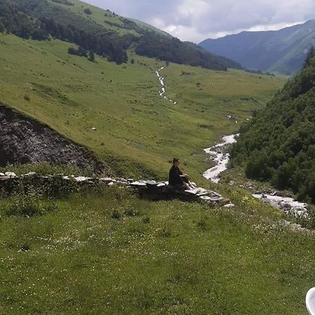 Gunter Guest House Adishi Екстериор снимка