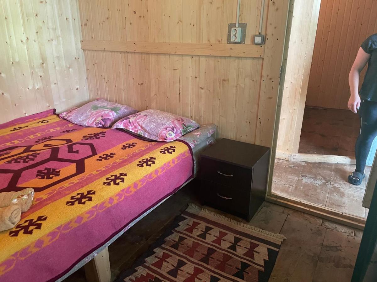 Gunter Guest House Adishi Екстериор снимка