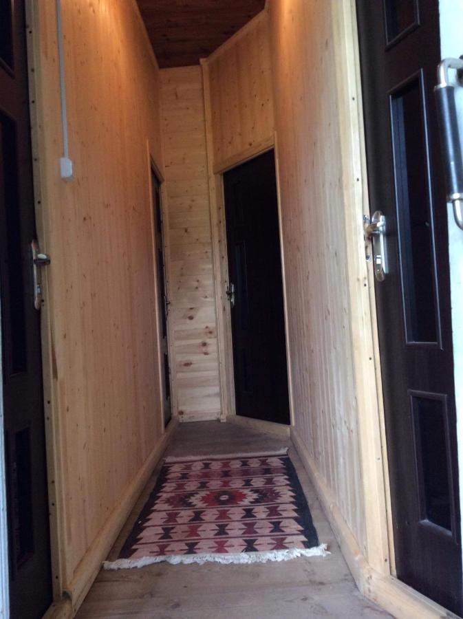 Gunter Guest House Adishi Екстериор снимка