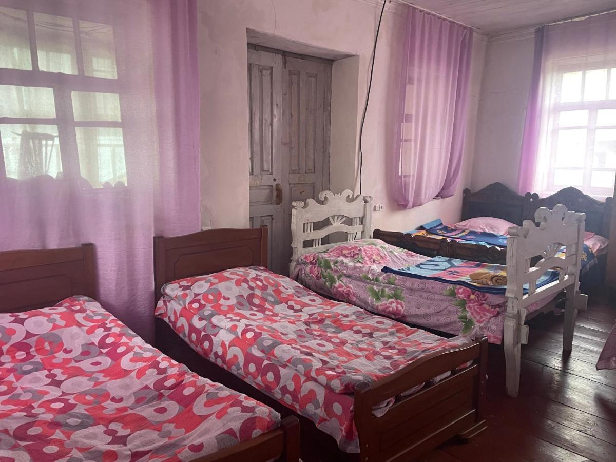 Gunter Guest House Adishi Екстериор снимка