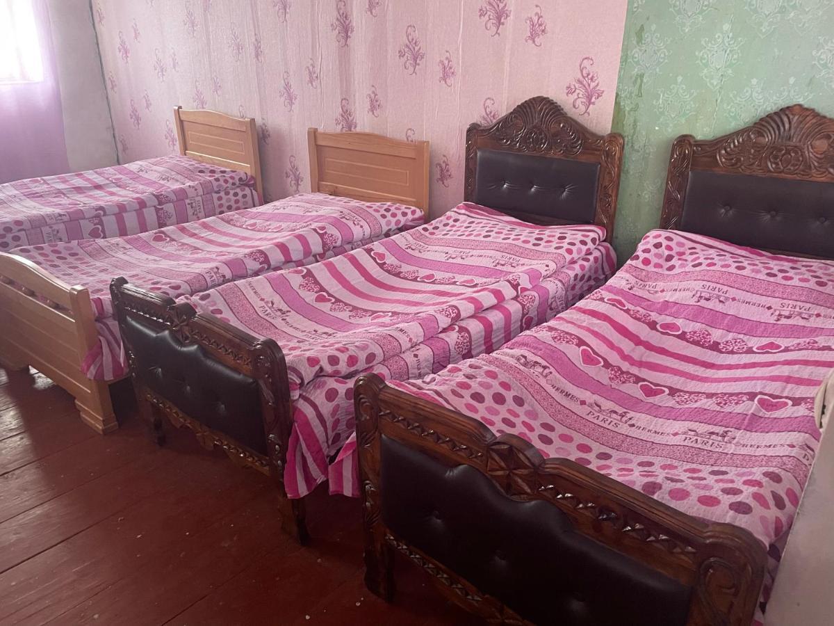 Gunter Guest House Adishi Екстериор снимка