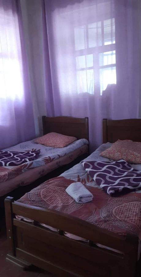 Gunter Guest House Adishi Екстериор снимка